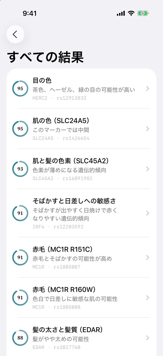レポート概要
