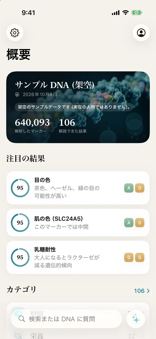 レポート概要